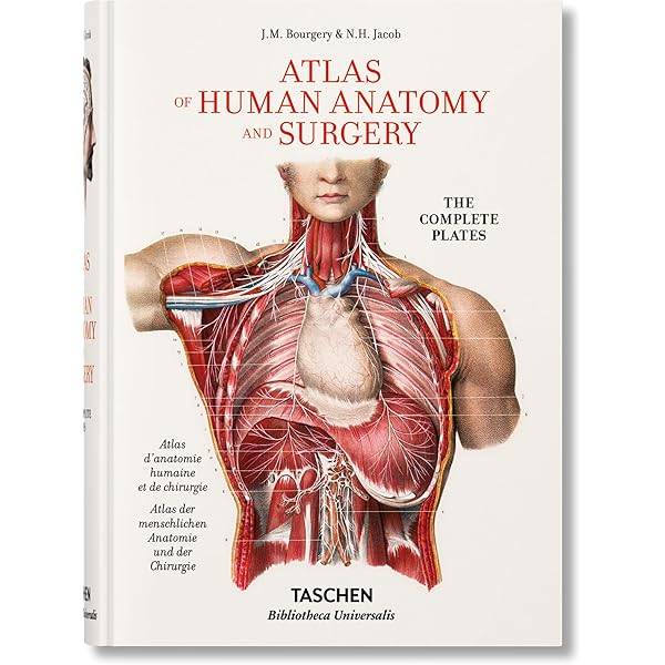 Atlas of Human Anatomy & Surgery, The Complete Plates: Jean
